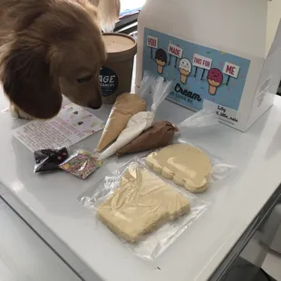 Inside the cookie decorating kit ... puppy not included