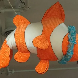 an orange and white clown fish