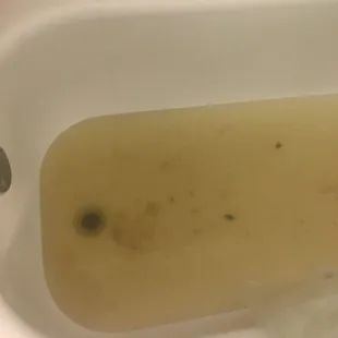 Crap coming up in my tub due to broken sewer problems this is the the third time its happened. Gross!