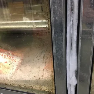 Mold and icicles on freezer door