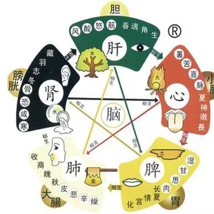 For yin &amp;yang tuina