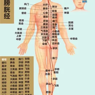 For bladder meridian massage