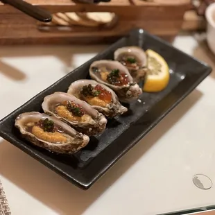 Shigoku Oyster
