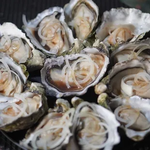 Yummy Oysters on this 4th of July *7/4/24