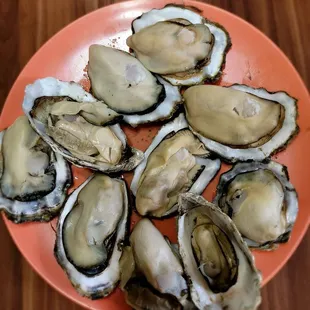 Fresh Oysters