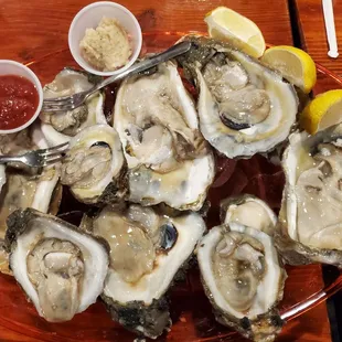 Raw oysters