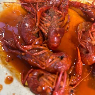 crawfish