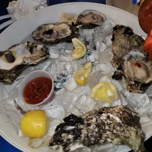 Oysters on the half shell