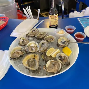 Fresh Oysters!