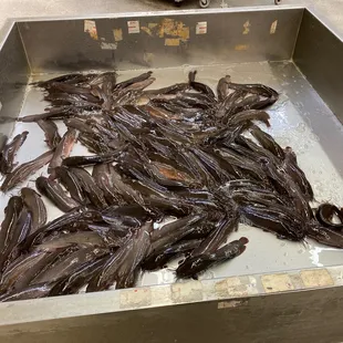a metal tray filled with dried fish