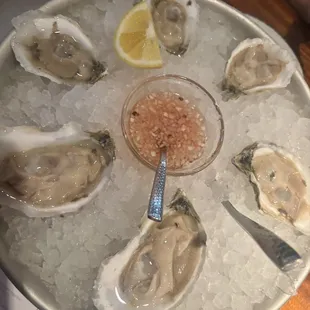 Oysters