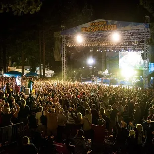 Festivals in the woods.
