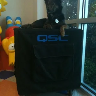 We&apos;re a dog friendly business.