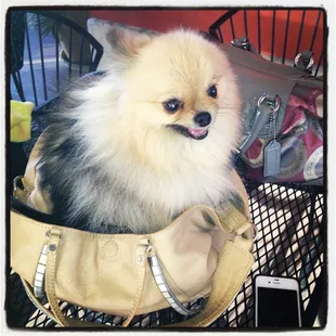 Minnie Lou