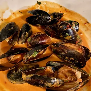 MUSSELS