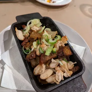 oysters and mussels, food, mussels, oysters, shellfish