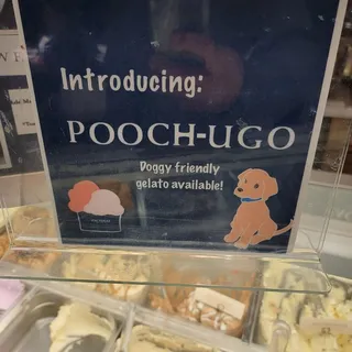 Pooch-Ugo