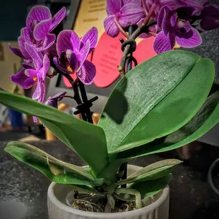 The Packinghouse Cafe and Church,Redlands,California