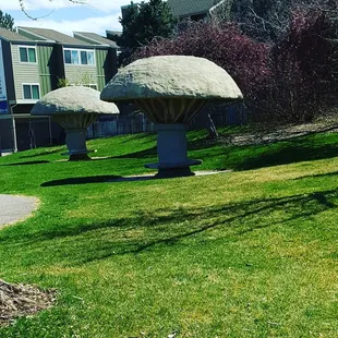 The mushroom sculptures with benches in Packy Roman!