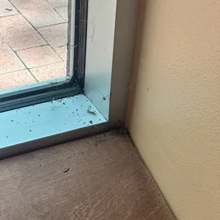 Dead bugs, spiders
