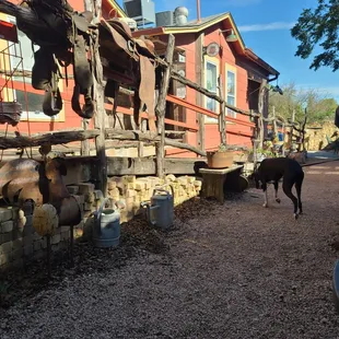 dog friendly patio and wheelchair ramp