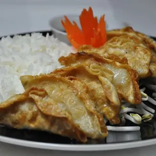 Pot sticker with rice $5.00