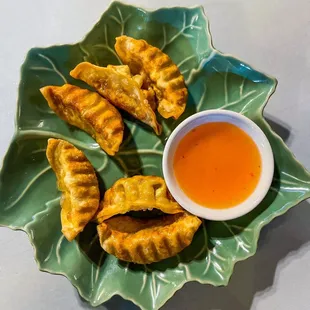Fried Dumplings