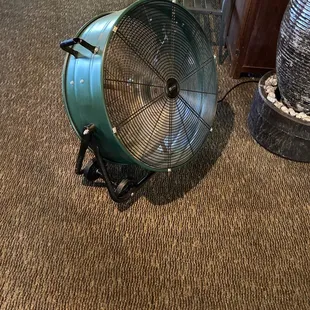 Ridiculously loud hurricane fan.... just made me decide to get the food to go!