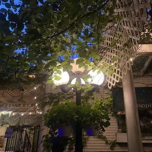 outdoor area