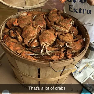 Blue crab