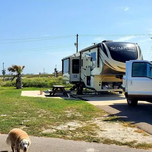 Campsite 8, near a walkway to the beach.