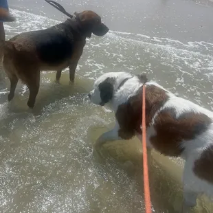 Girls enjoying the beach