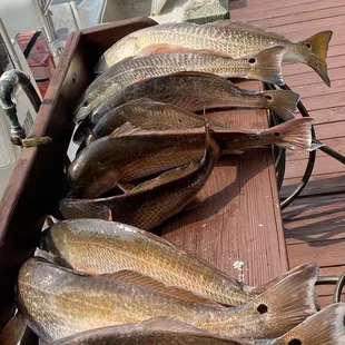 Cleaning station at our dock