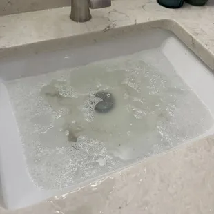 Clogged sink!
