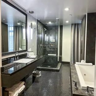 Head Honcho Suite Restroom