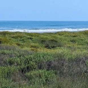 I'm feeling very one with the universe at this point