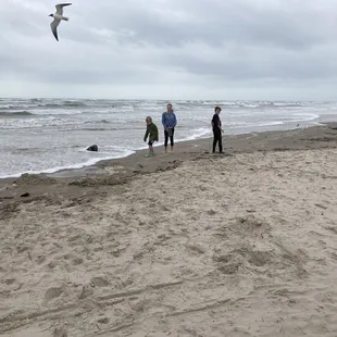 Out exploring the beach