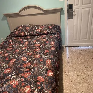 Disgusting rooms. Prostitution next to my room. With the plants outside of there room