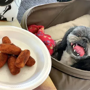 My sassy girl with delicious croquettes