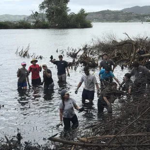 Lol! Us getting the big branches and mangroves out! Connecting with my aina &amp; our ppl