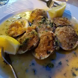 shellfish, oysters and mussels, mussels, food, oysters