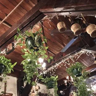 Absolutely beautiful!