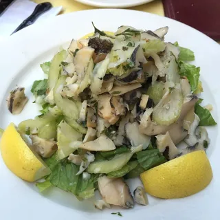 Scungilli Conch Salad