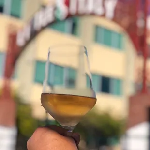 a hand holding a wine glass