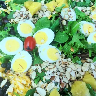 Decorated mixed greens with amonds, eggs, cheese, fruit, garden vegetables