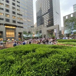 a crowd of people sitting in a park