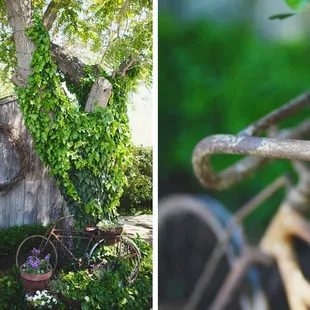 Closer To Love Photography