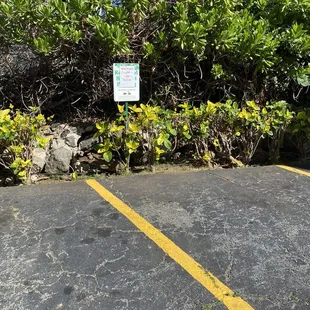 Parking for party package pickup