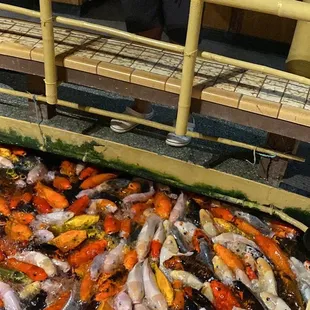Koi galore! They sell little cups of fish food for $1.00