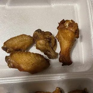 More comparisons of the sizes of the wings